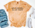 Not Friendly Do Not Touch Graphic Tee