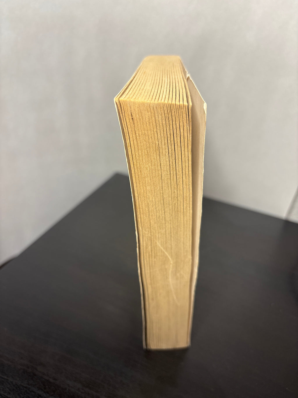 Split Heirs by Lawrence Watt-Evans, Esther M. Friesner | Humorous Fantasy Novel