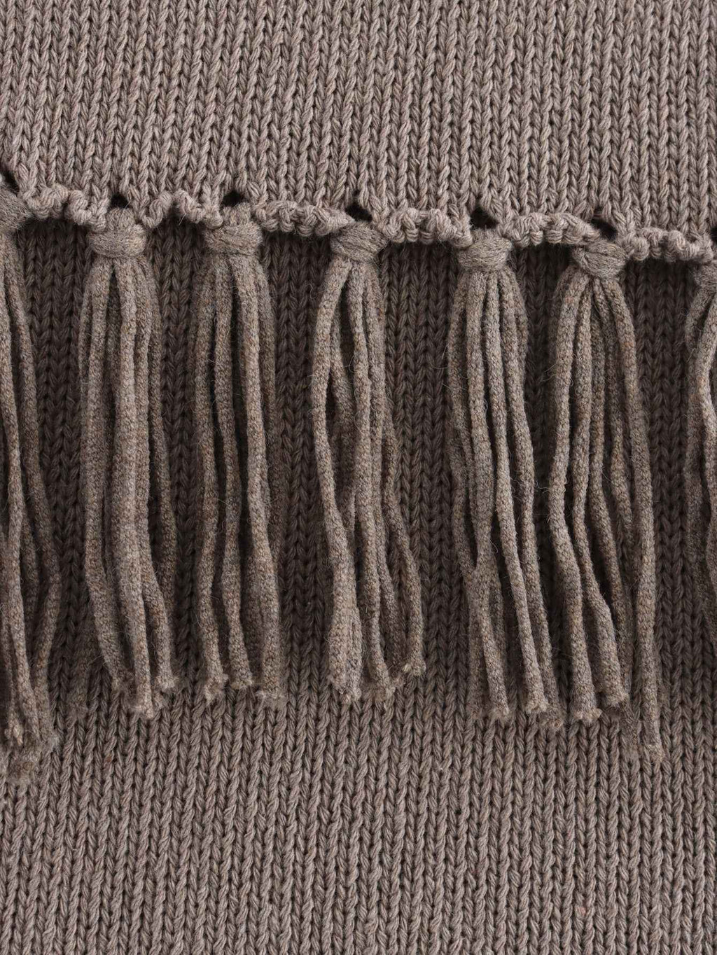 Tassel Knitted Sweater Vest