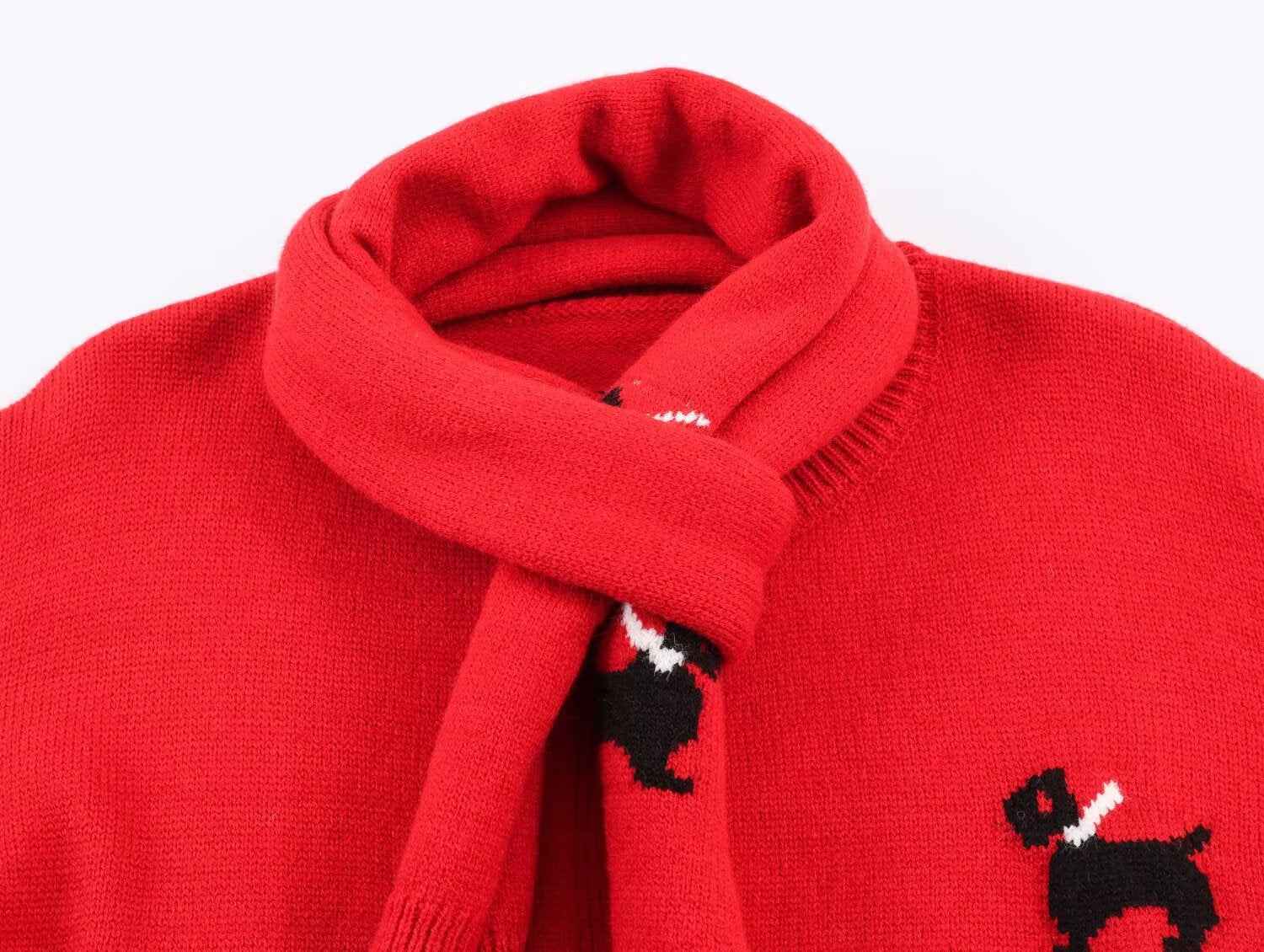 Knitted Sweater for Women