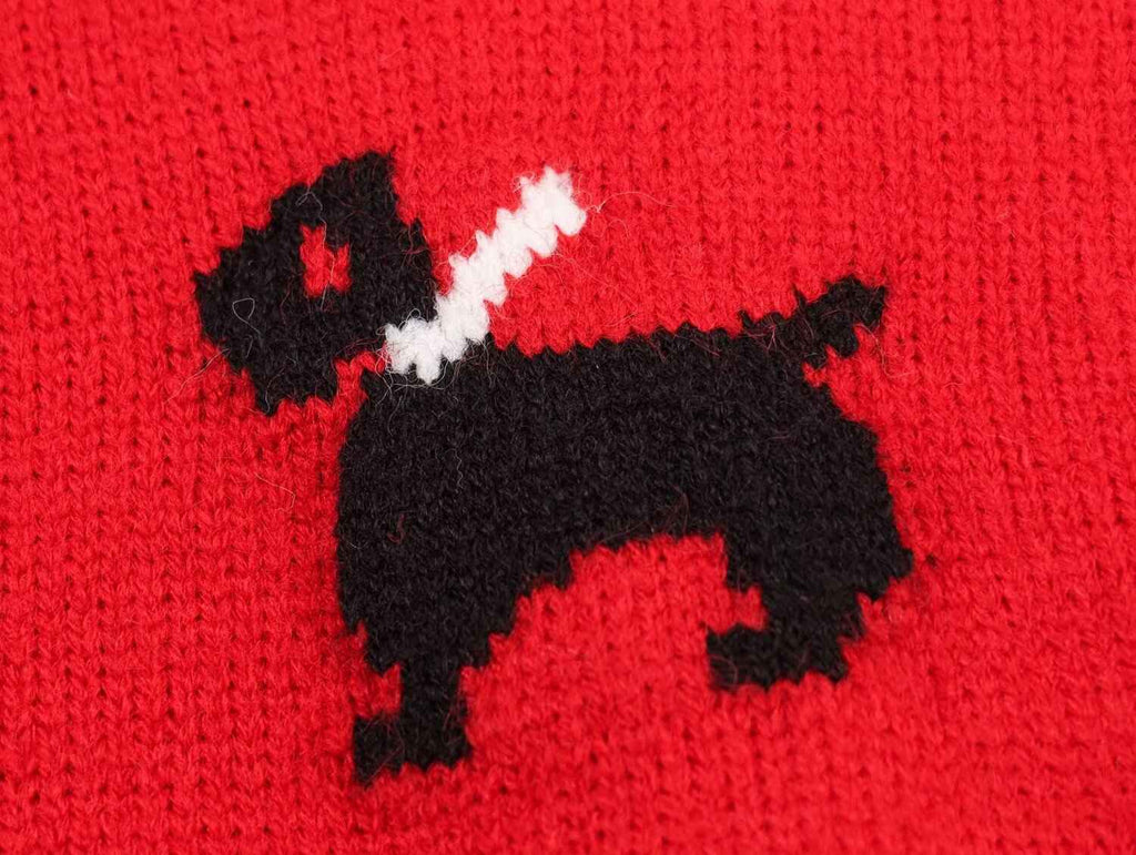 Knitted Sweater for Women
