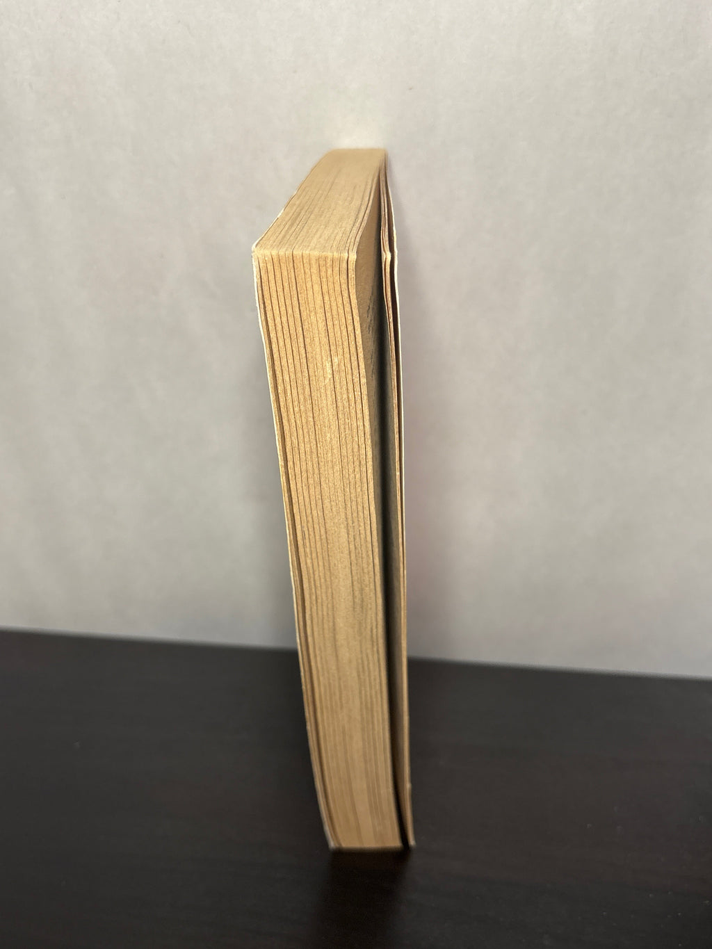 A Quiet of Stone by Stephen Leigh (New Eden #3) | Vintage Fantasy