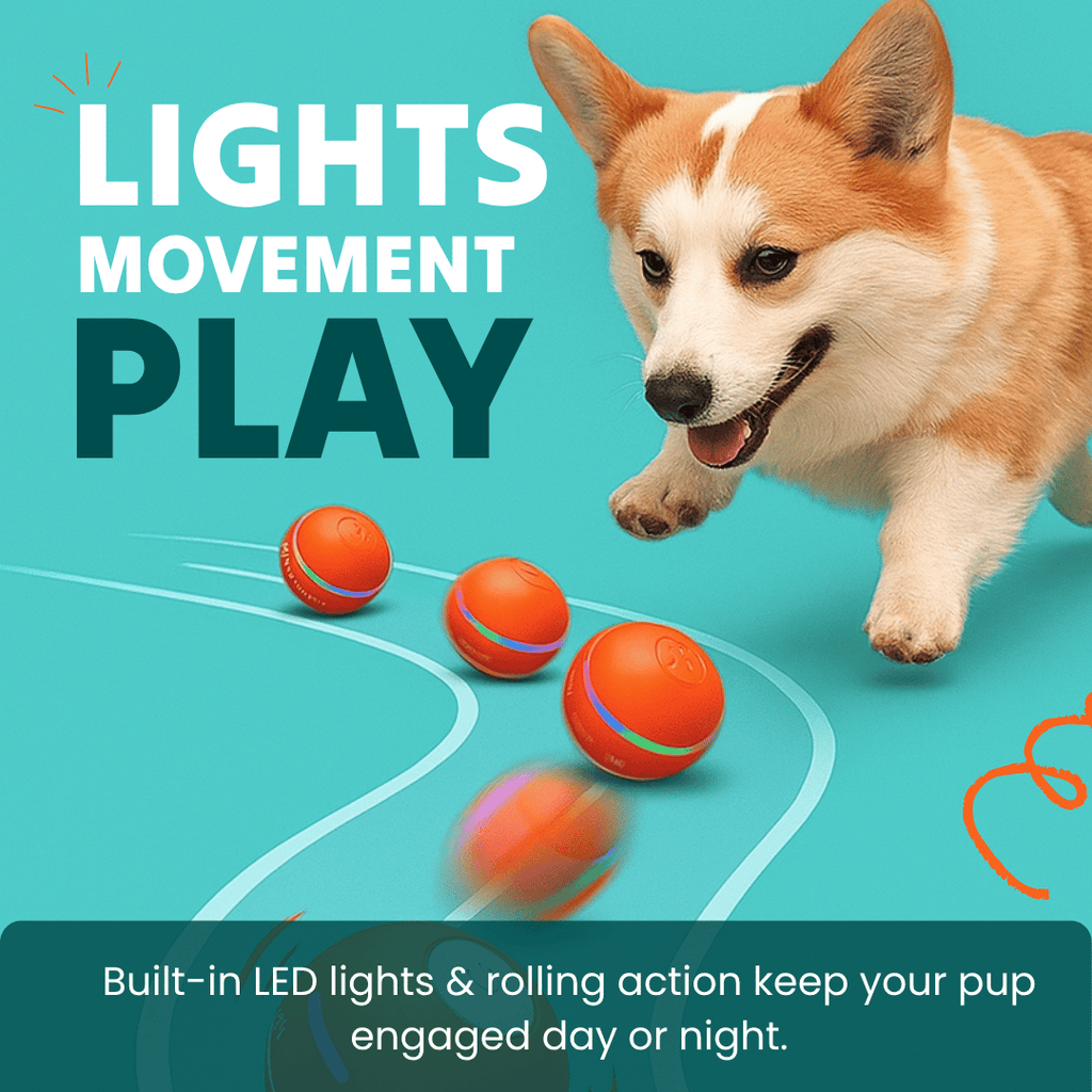 DOG’S INTERACTIVE BALL