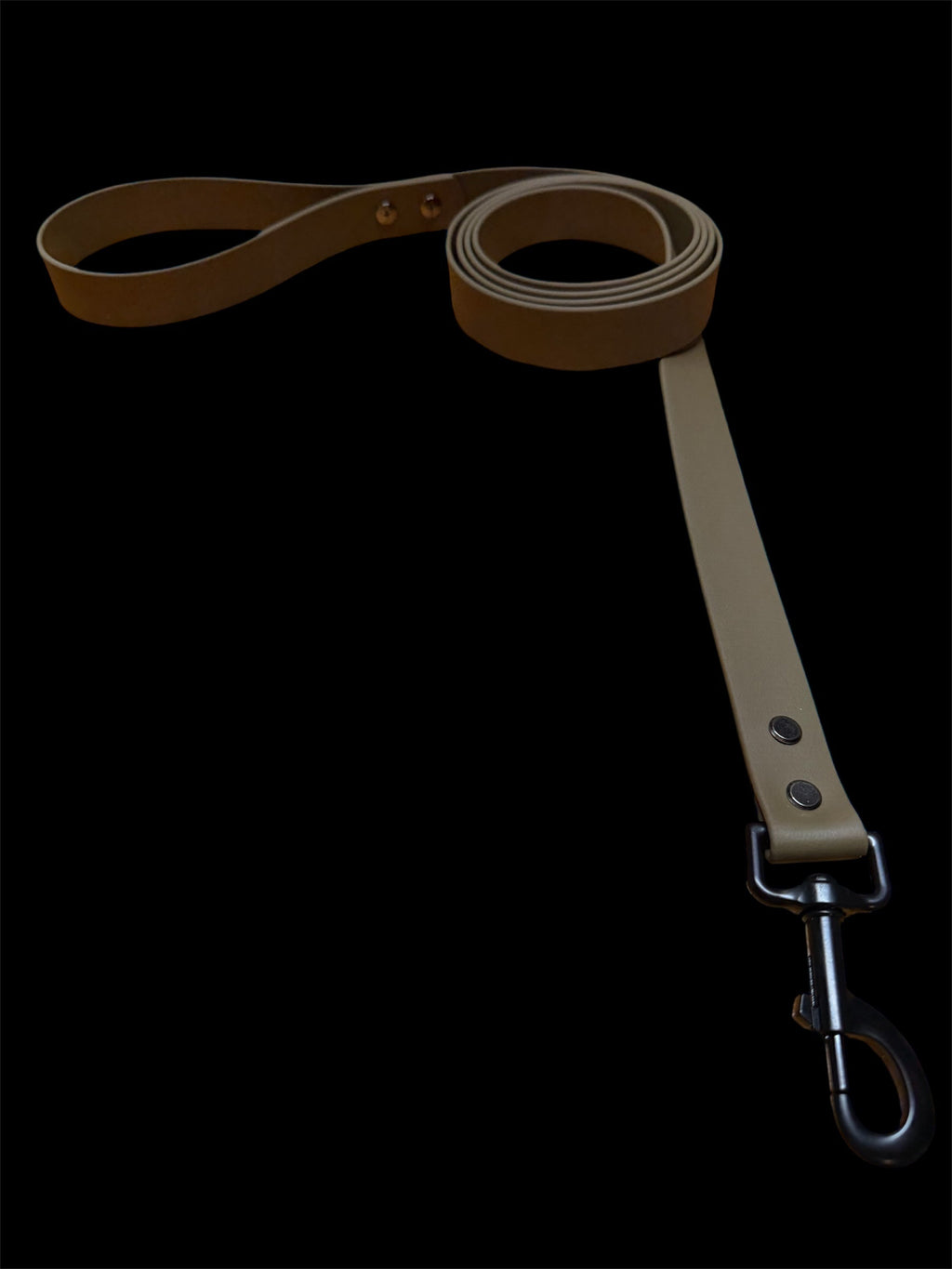 LEASH