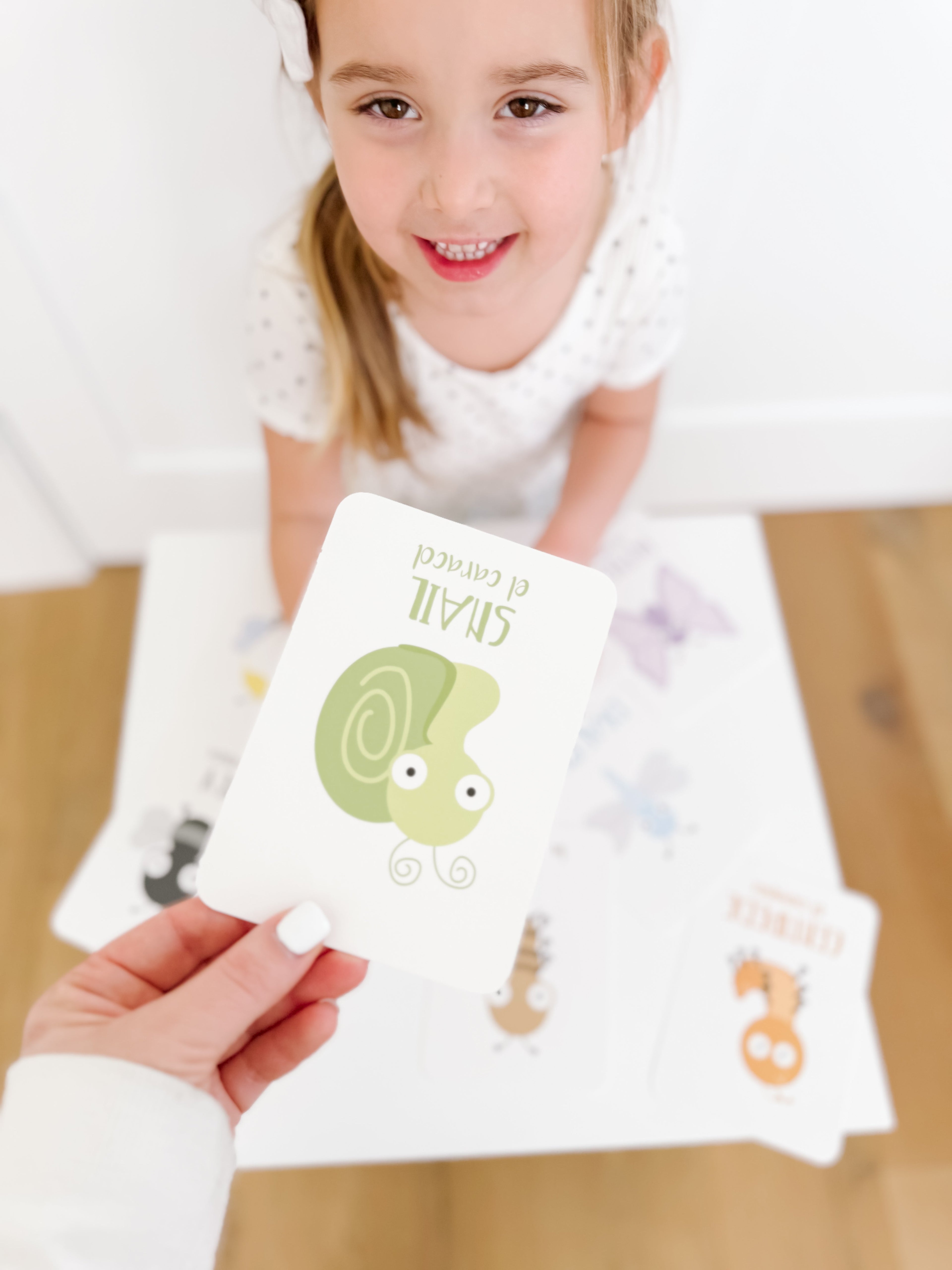 Bugs Flashcards