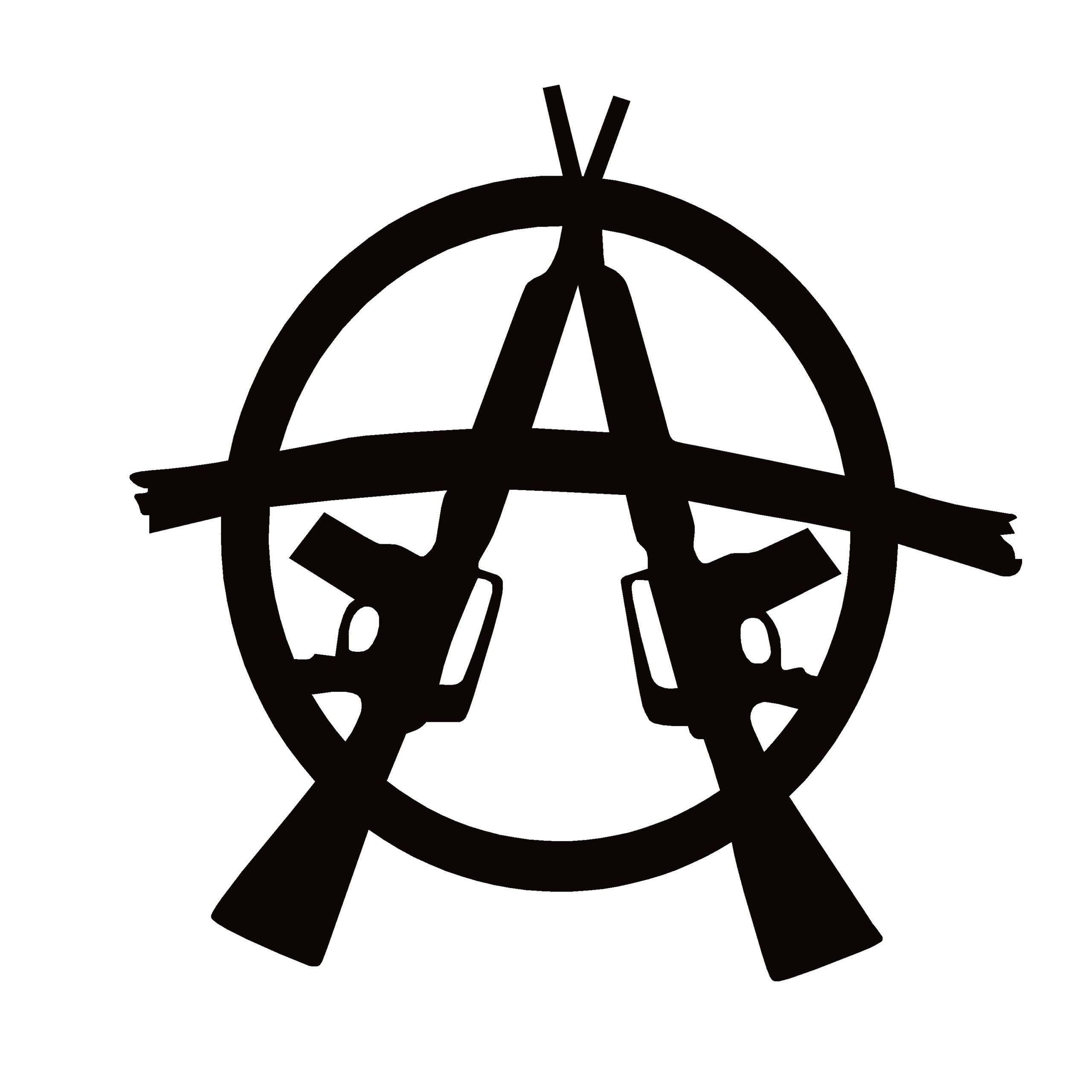 Pro Gun Decal - Anarchy Pro Gun Window Decal Sticker - 7646