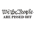 We The People Patriotic Decal – Political Protest Vinyl Sticker for Cars & Windows – 7992