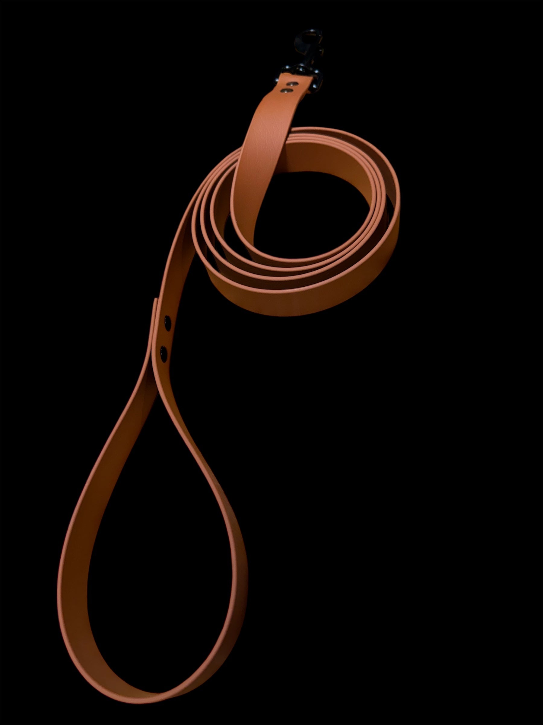 LEASH