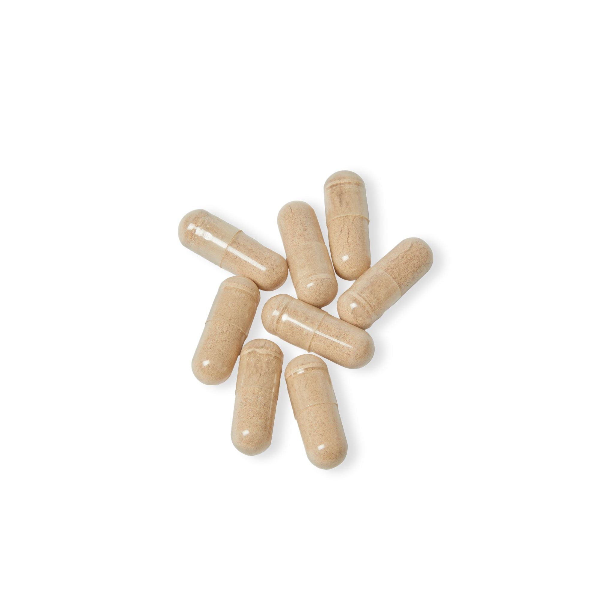 Brain Support Complex NEST®️ (60 Capsules)