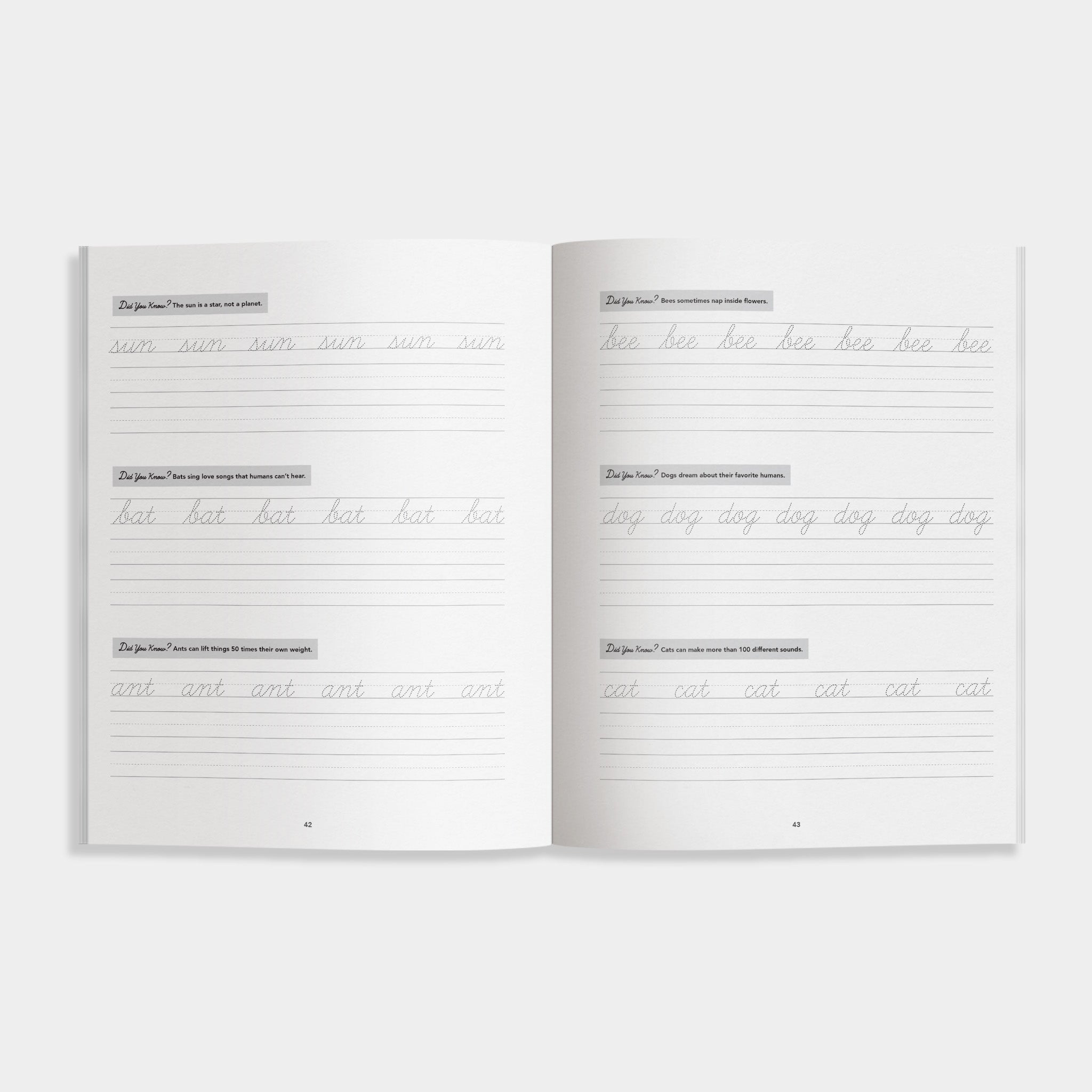 Cursive Handwriting Workbook
