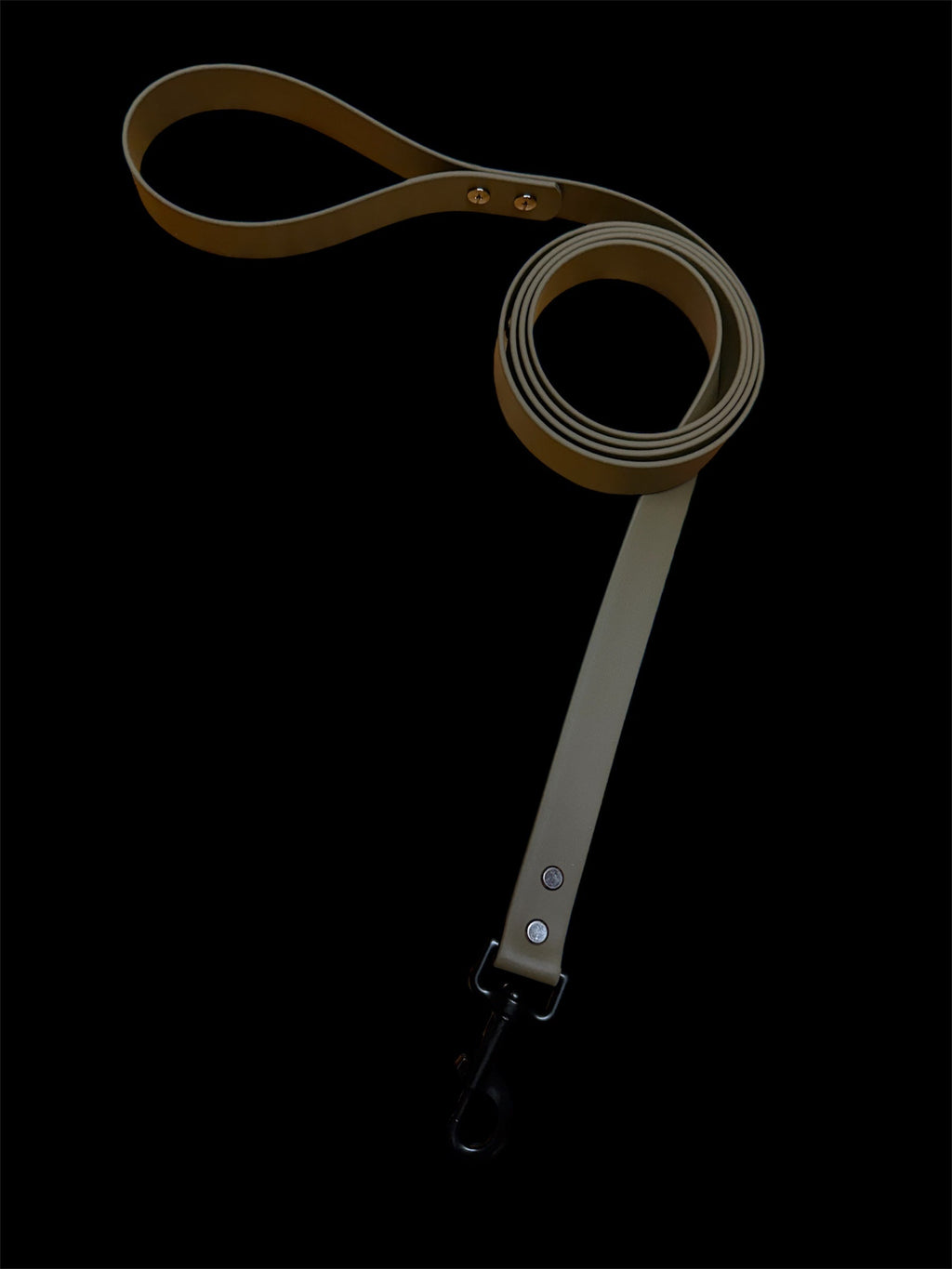 LEASH