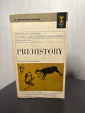 Prehistory by Jacquetta Hawkes (Volume 1, part 1)