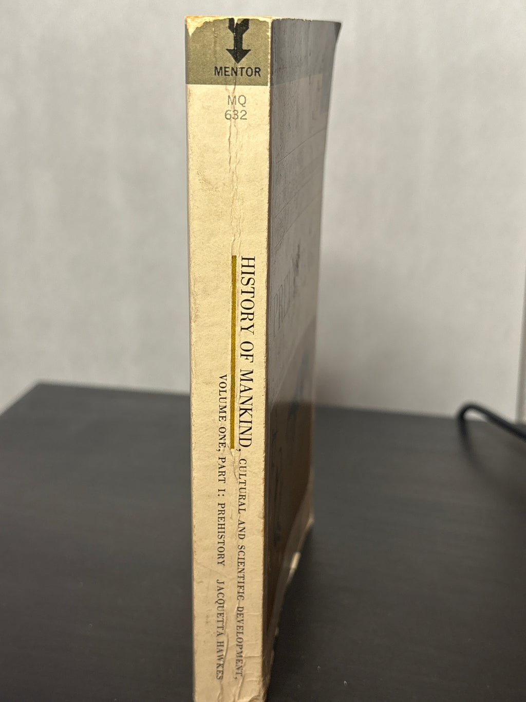 Prehistory by Jacquetta Hawkes (Volume 1, part 1)