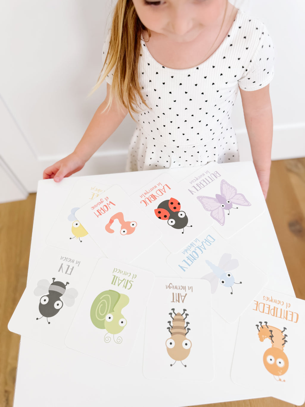 Bugs Flashcards