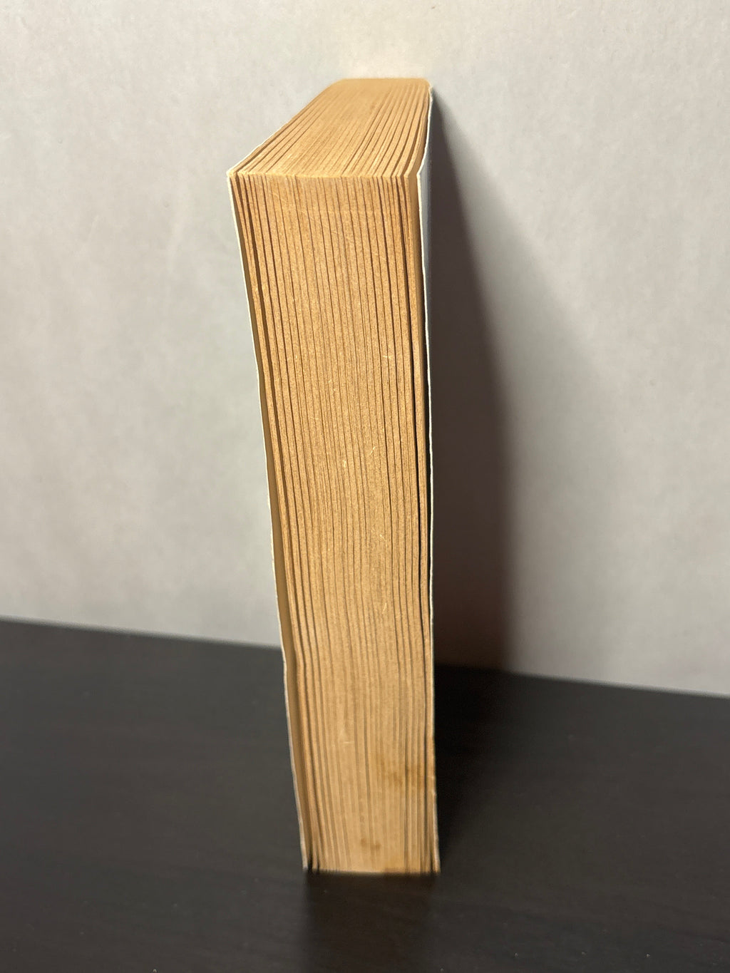 The Book of Silence by Lawrence Watt-Evans (The Lords of Dus #4) | Vintage Fantasy