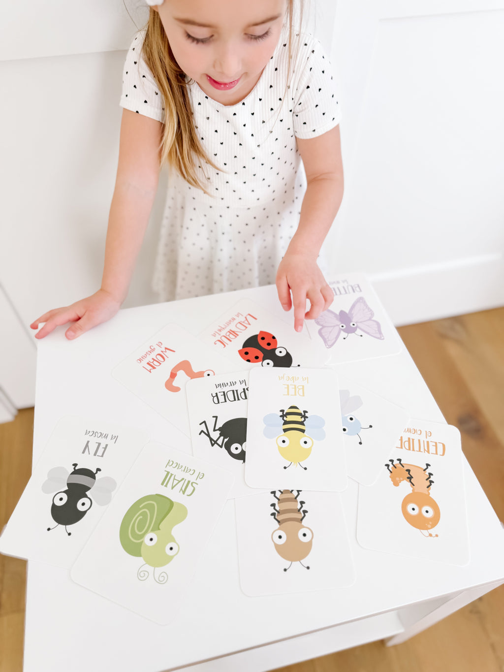 Bugs Flashcards