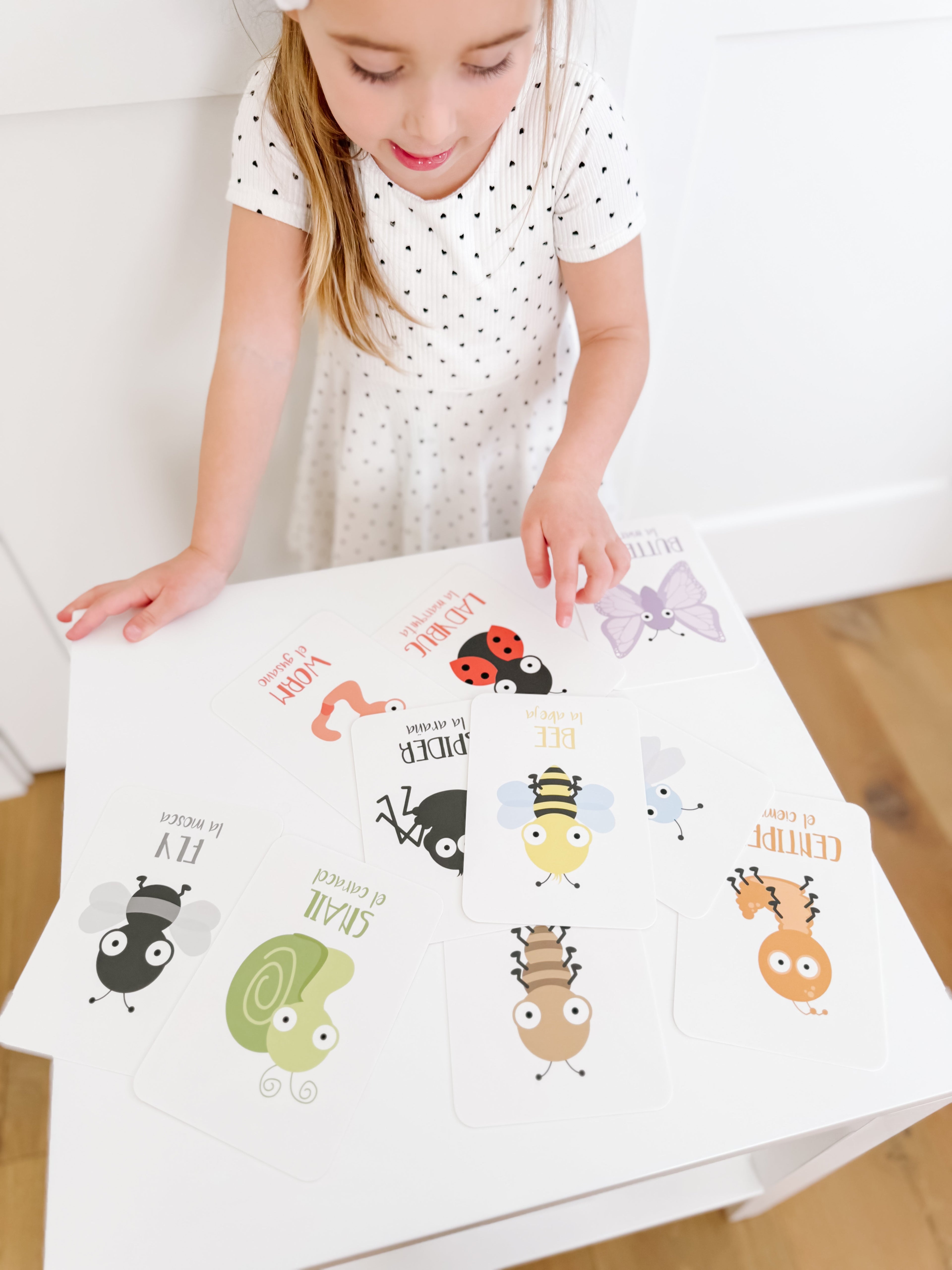 Bugs Flashcards
