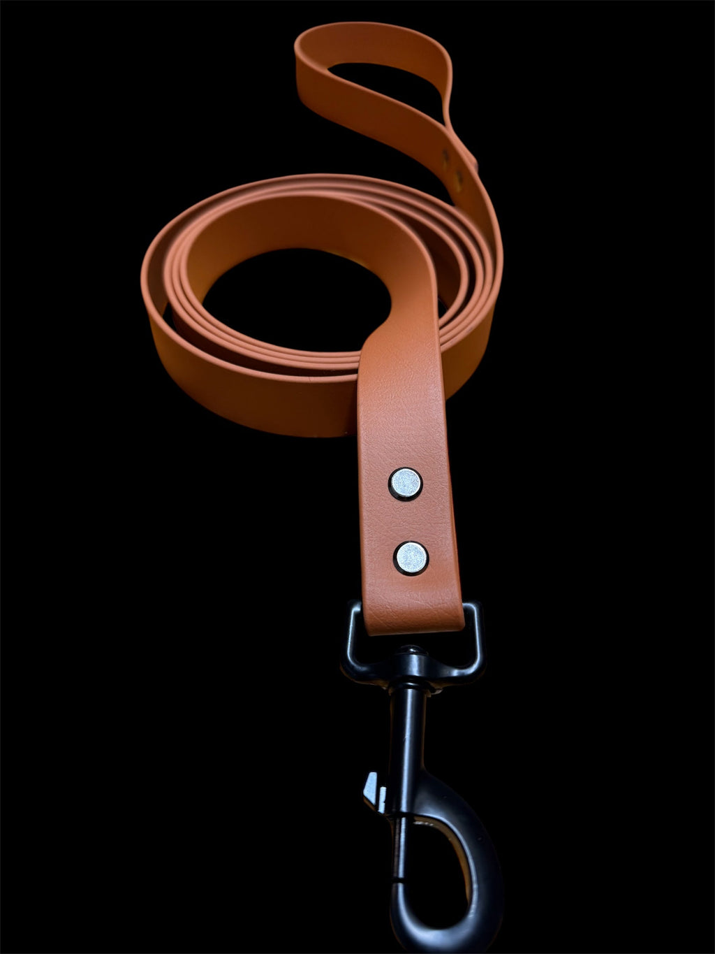LEASH