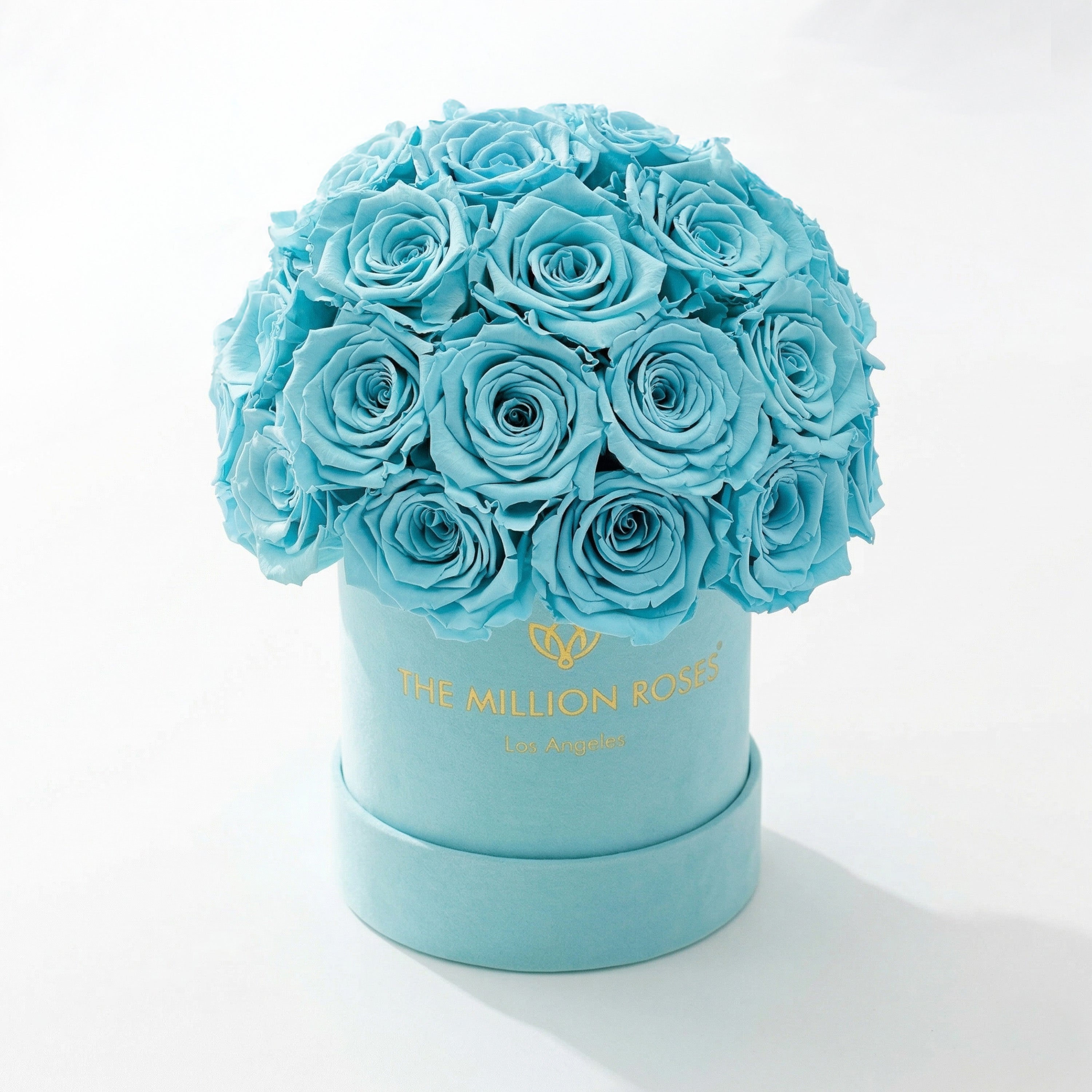 Essence Mint Green Suede Superdome Box | Turquoise Roses