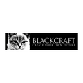 "Lucipurr" Magnetic Grill