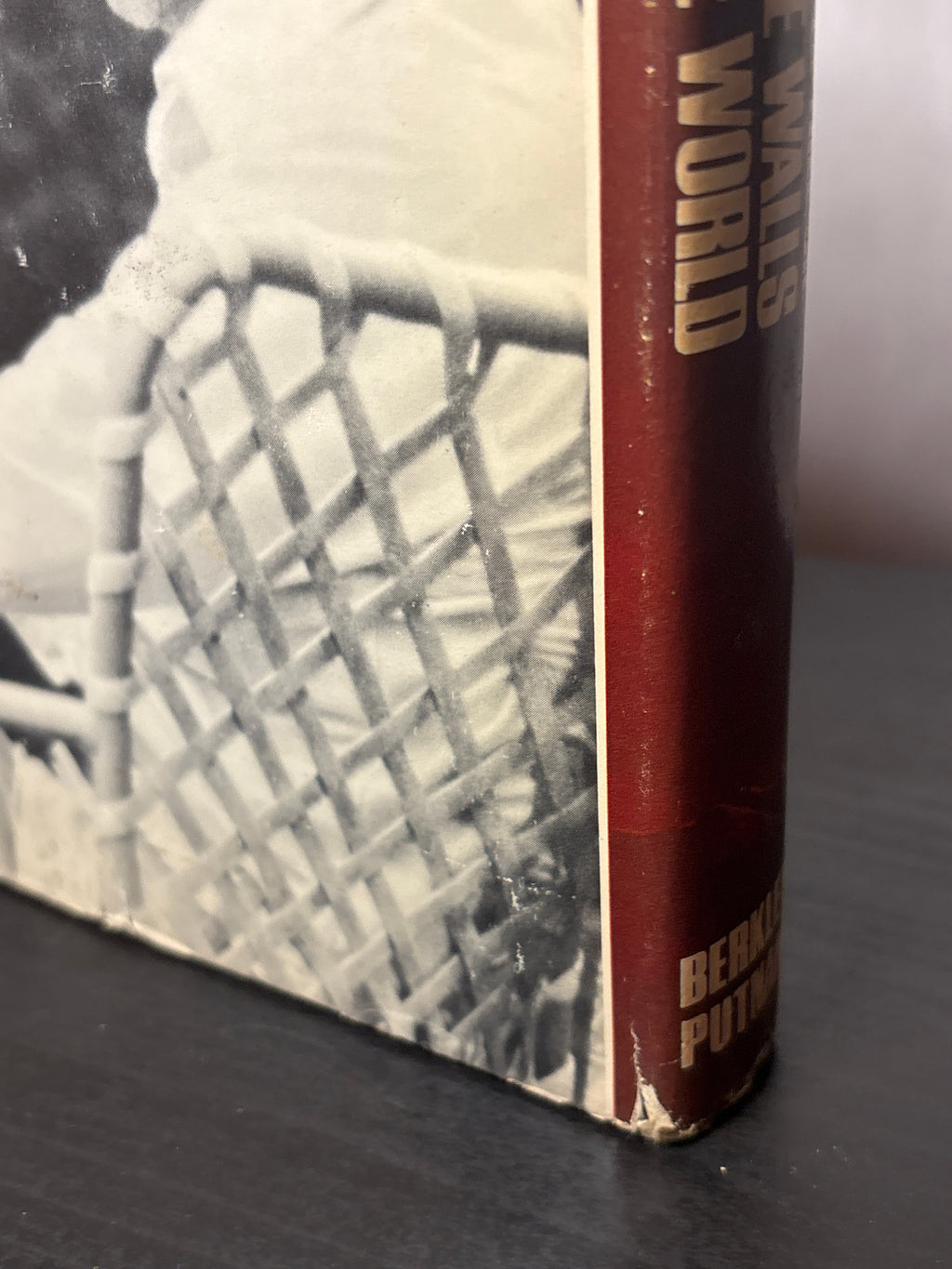 Up the Walls of the World by James Tiptree, JR