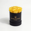 Essence Black Box | Yellow Roses