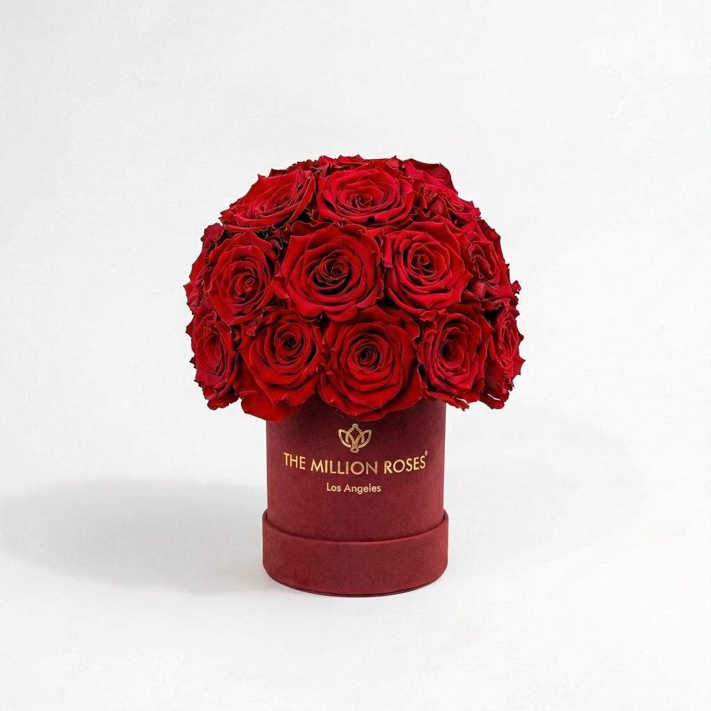 Essence Bordeaux Suede Superdome Box | Red Roses