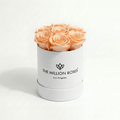 Essence White Box | Peach Roses