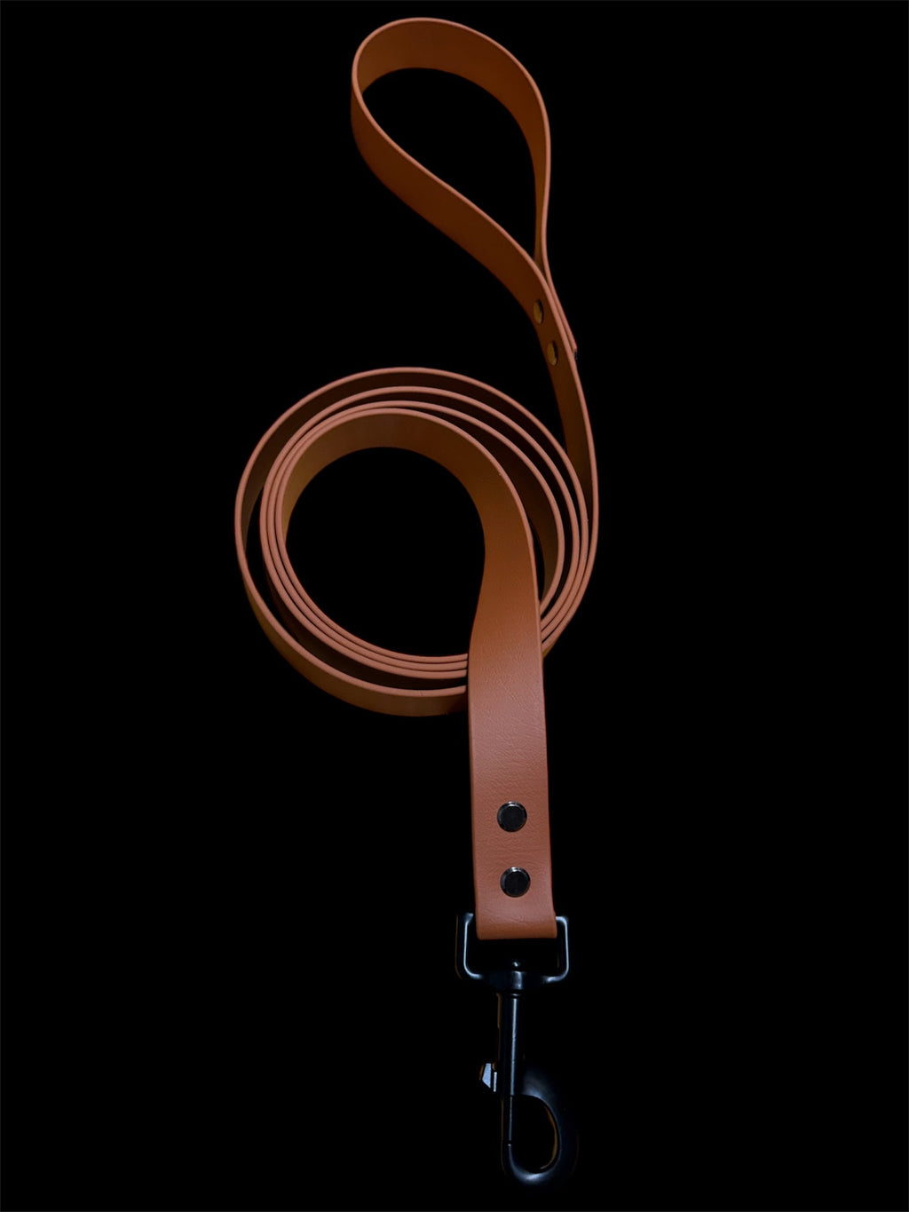 LEASH
