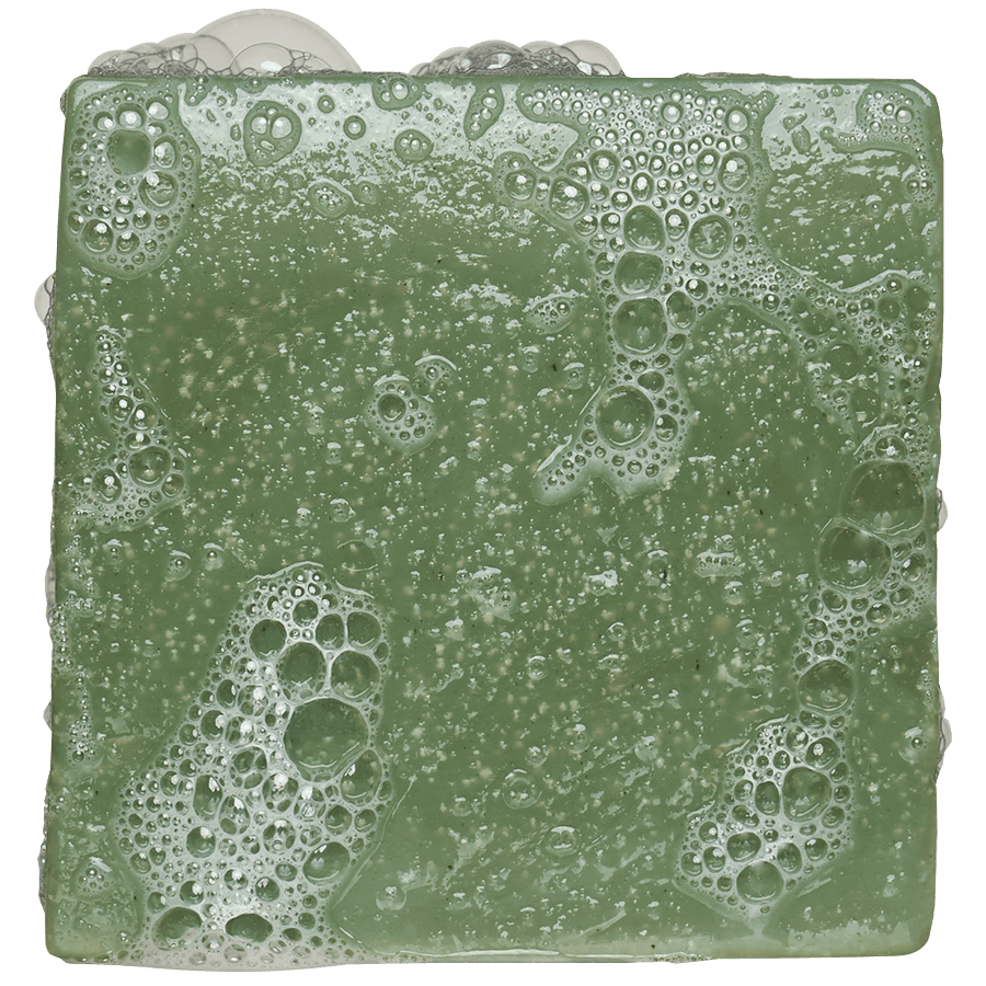 Dr Squatch - Rainforest Rapids Bar Soap