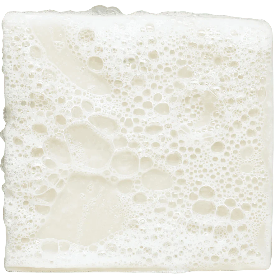 Dr Squatch - Total Moisture Shea Butter