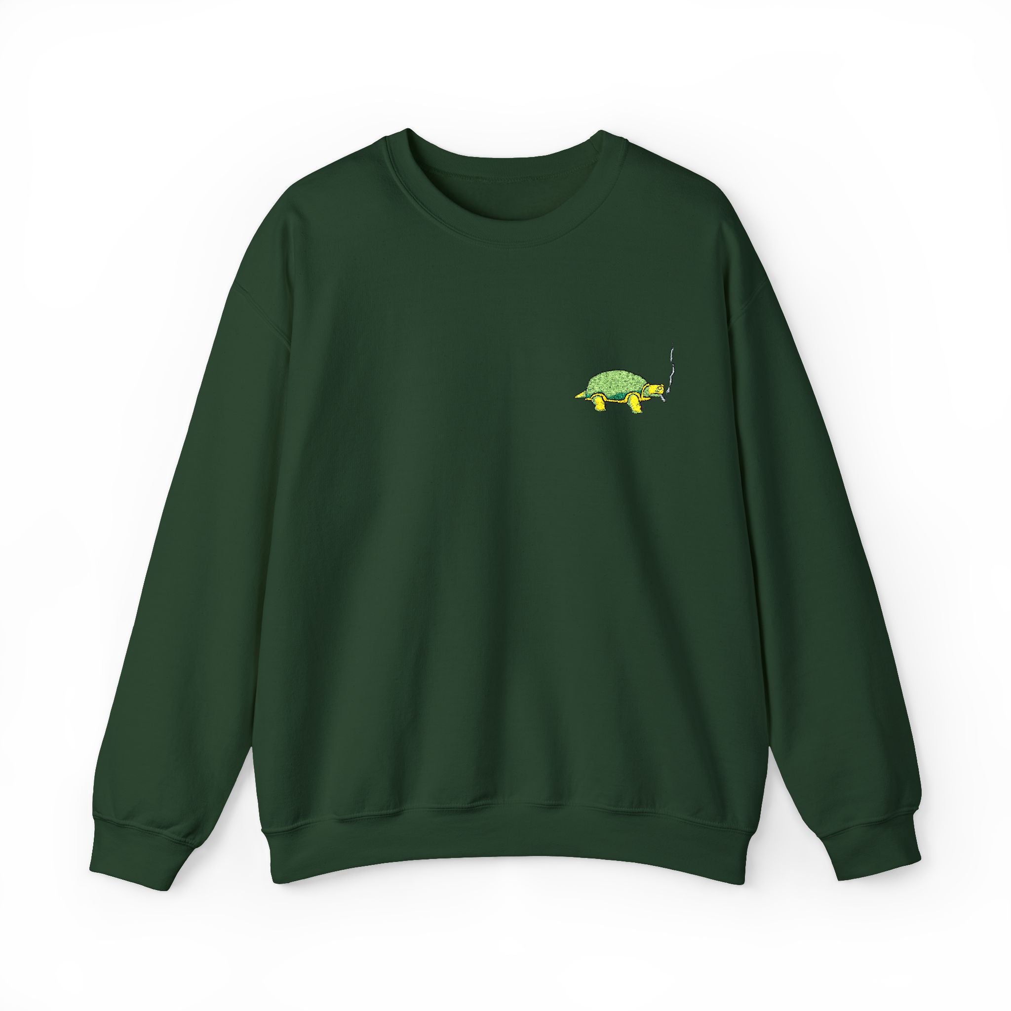 Green Turtle Illustration Sweatshirt | Small Chest Graphic