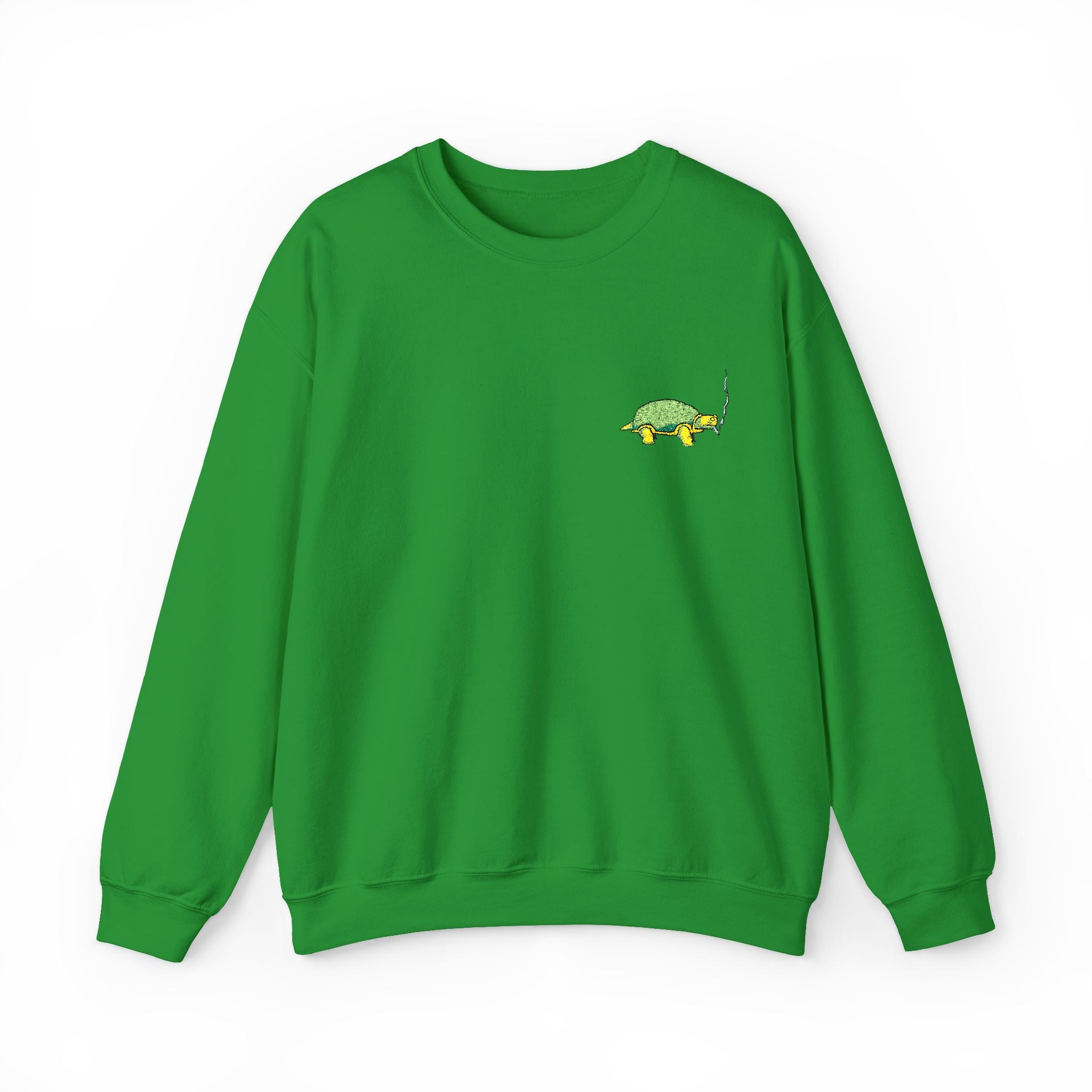 Green Turtle Illustration Sweatshirt | Small Chest Graphic