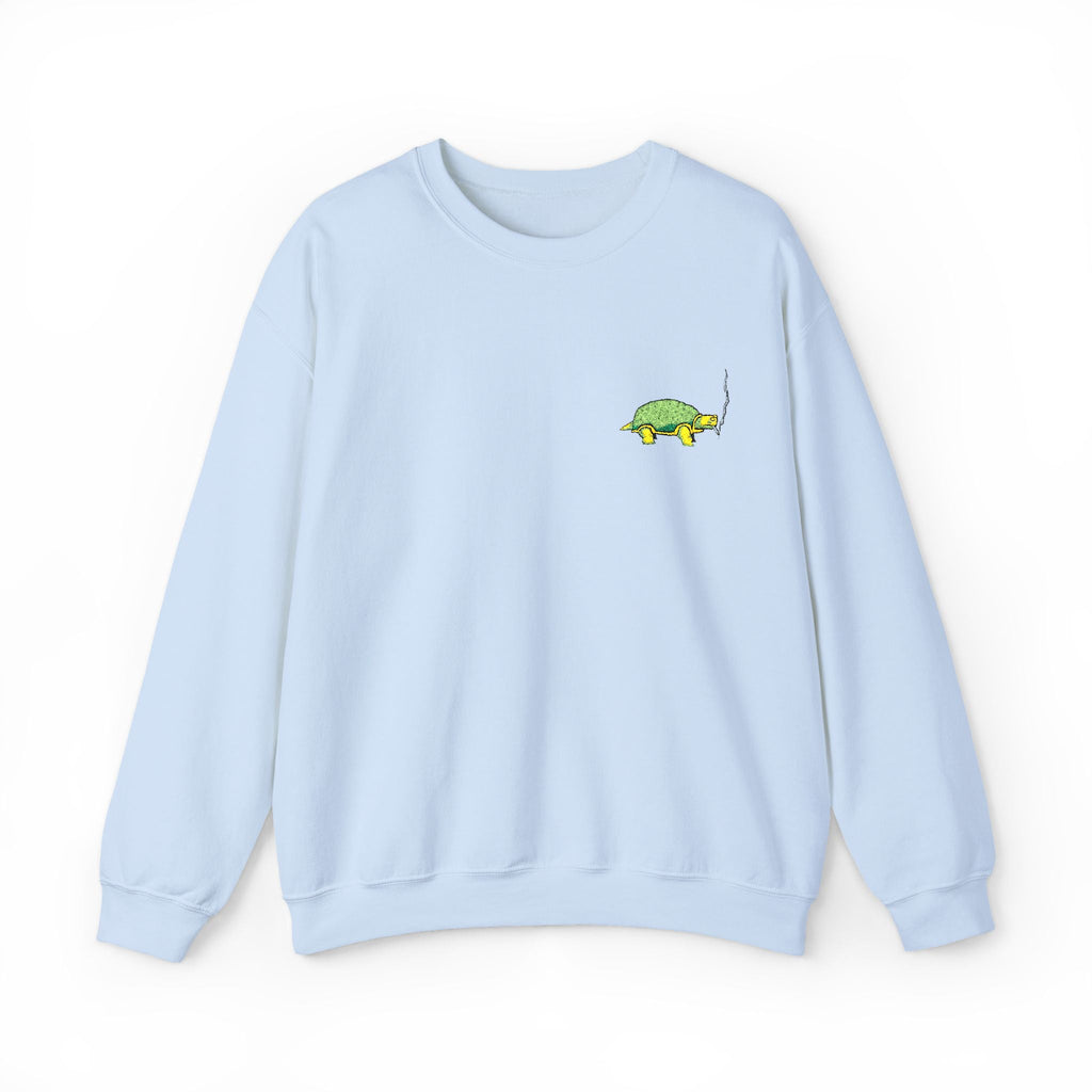 Green Turtle Illustration Sweatshirt | Small Chest Graphic
