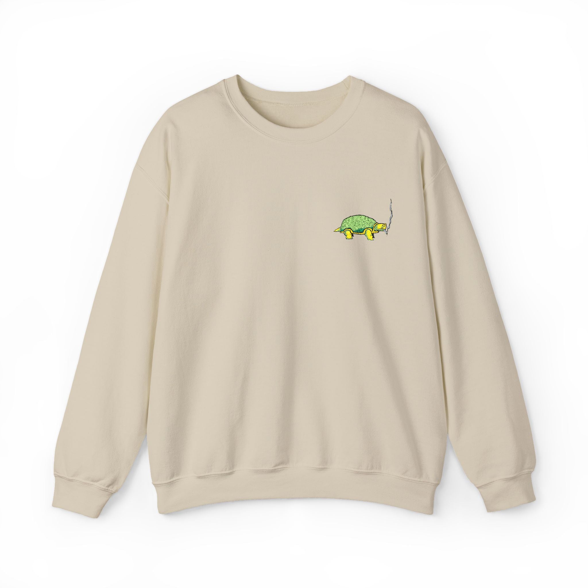 Green Turtle Illustration Sweatshirt | Small Chest Graphic