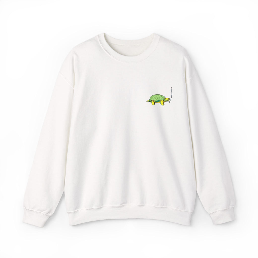 Green Turtle Illustration Sweatshirt | Small Chest Graphic