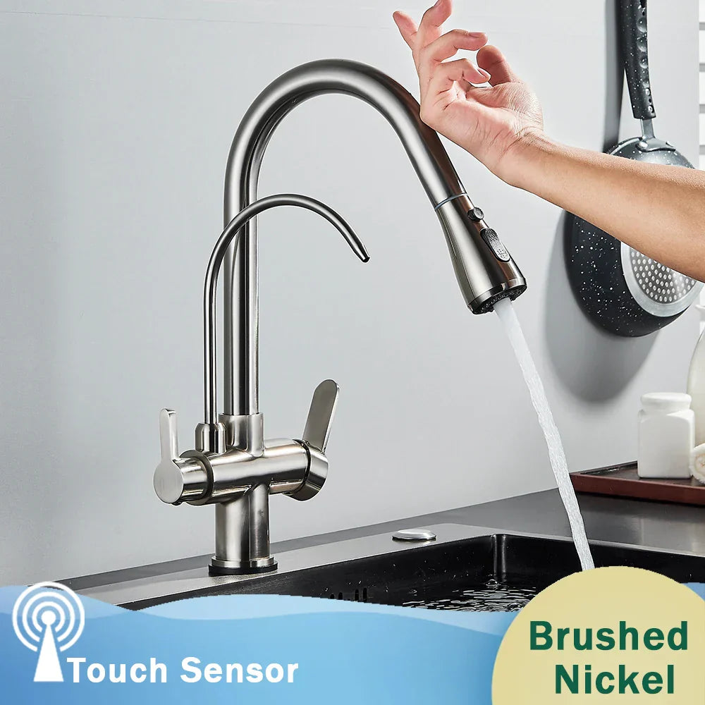 DecorBites™ Black Dual Modes Kitchen Faucet 2 in 1 Pure Water Mixer Tap