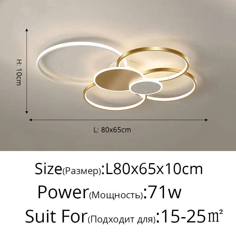 DecorBites™ LED Ceiling Chandelier Light for Living Room Bedroom Dining Hall Indoor Lighting Fixtures
