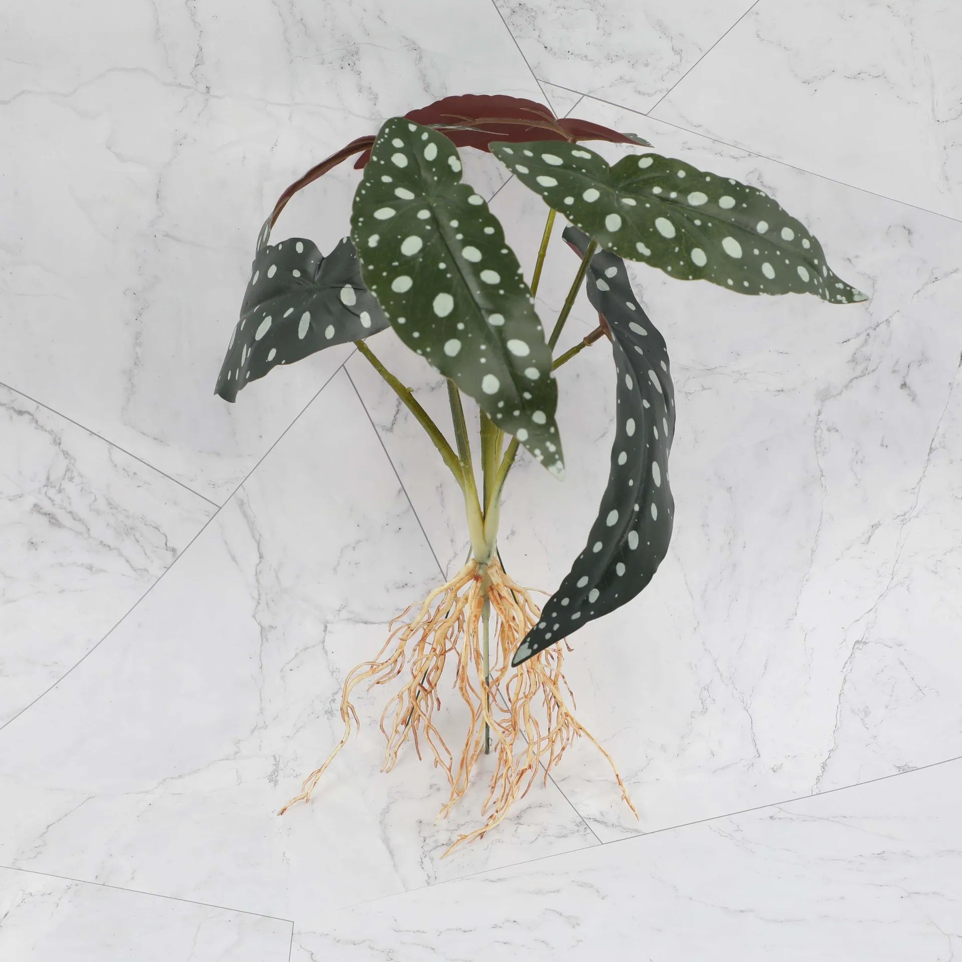 DecorBites™ Green Plant Wall Set for Indoor Decoration