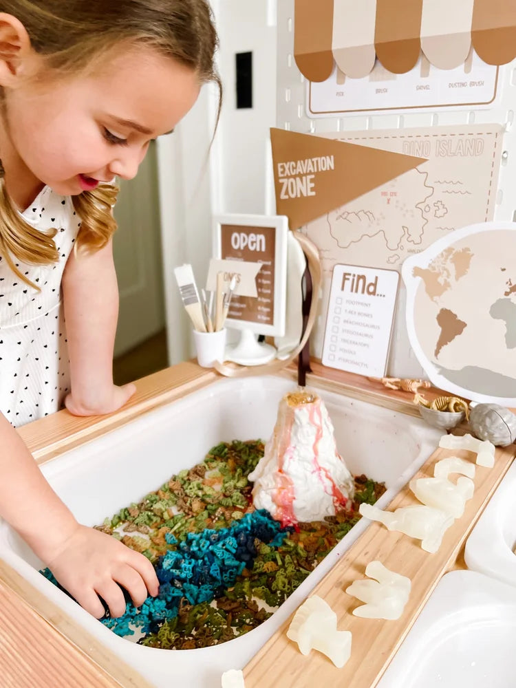 Dinosaur Dig Paleontologist Printable Dramatic Play Kit