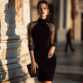 Elegant Slim Long Sleeve Sheer Mesh Cocktail Evening Dress