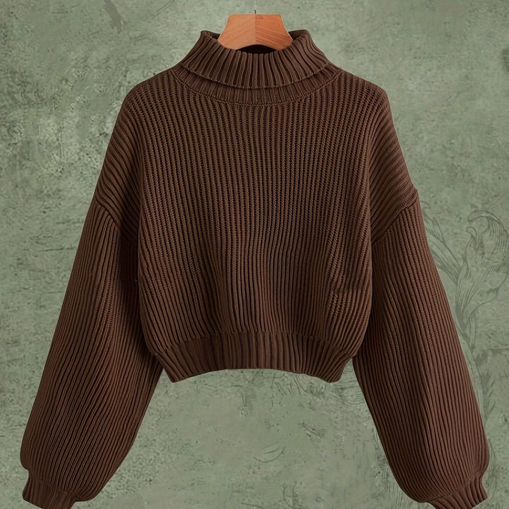 Turtle Neck Sweater Elegant Long Sleeve