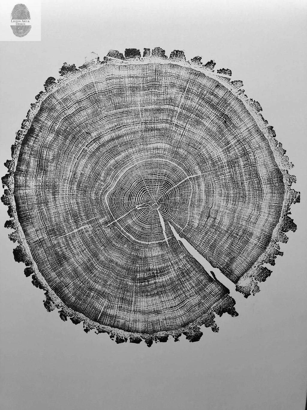 Oak, Pine, & Hemlock Set of 4 - 24x36 each print