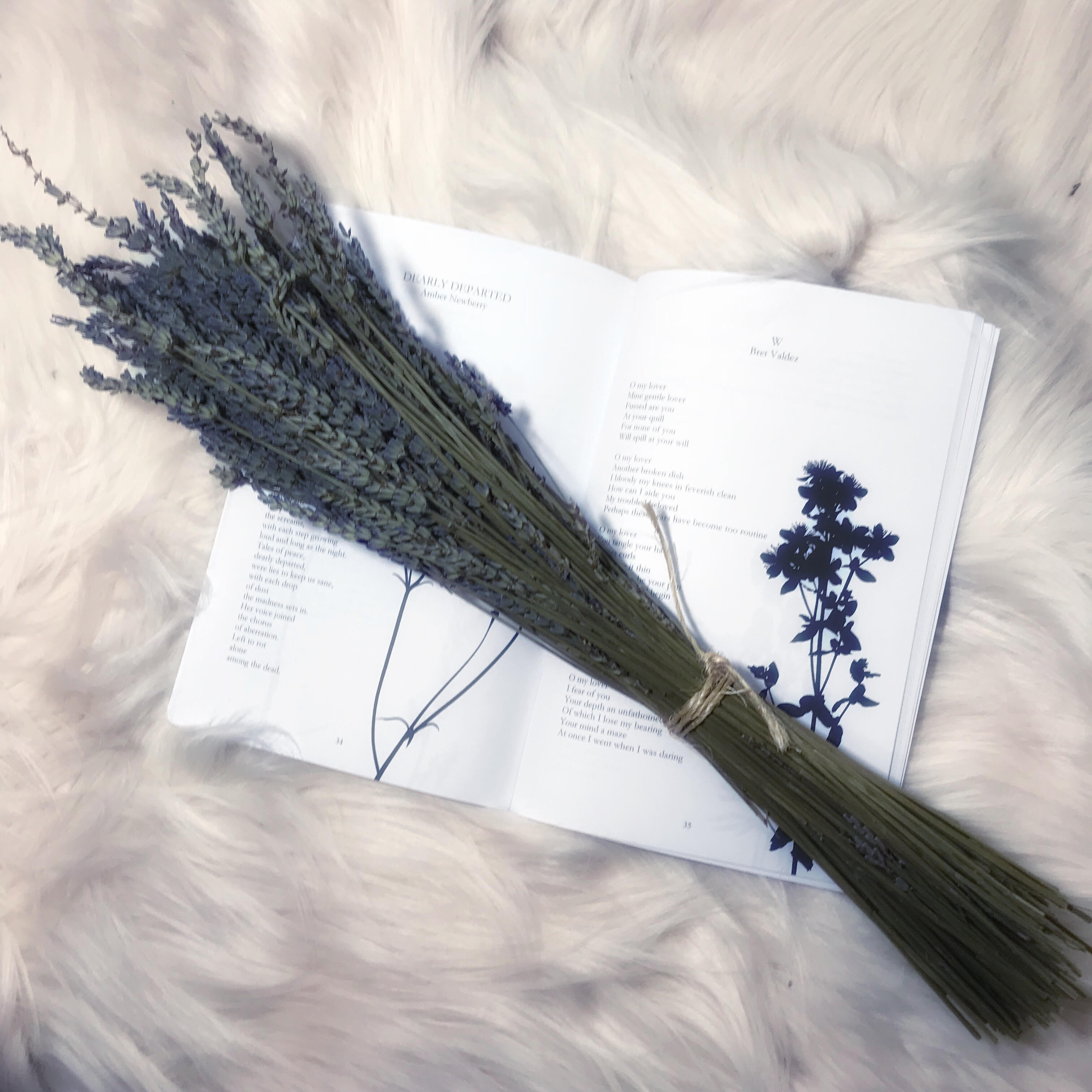 Entombed in Verse