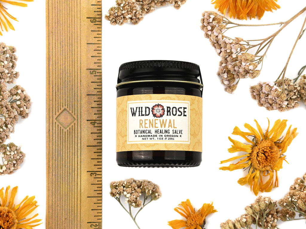 Renewal - Botanical Healing Salve