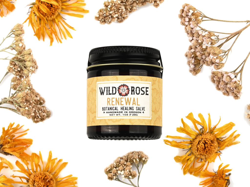 Renewal - Botanical Healing Salve