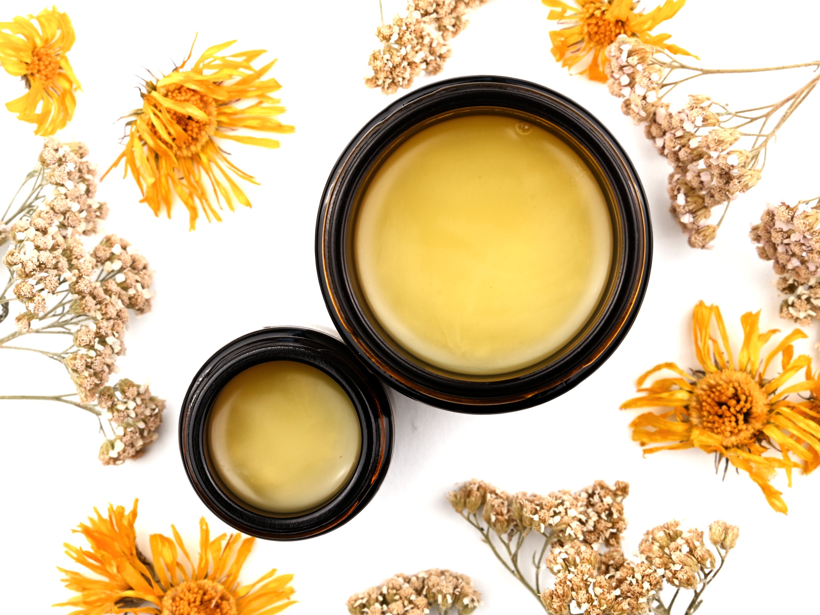 Renewal - Botanical Healing Salve