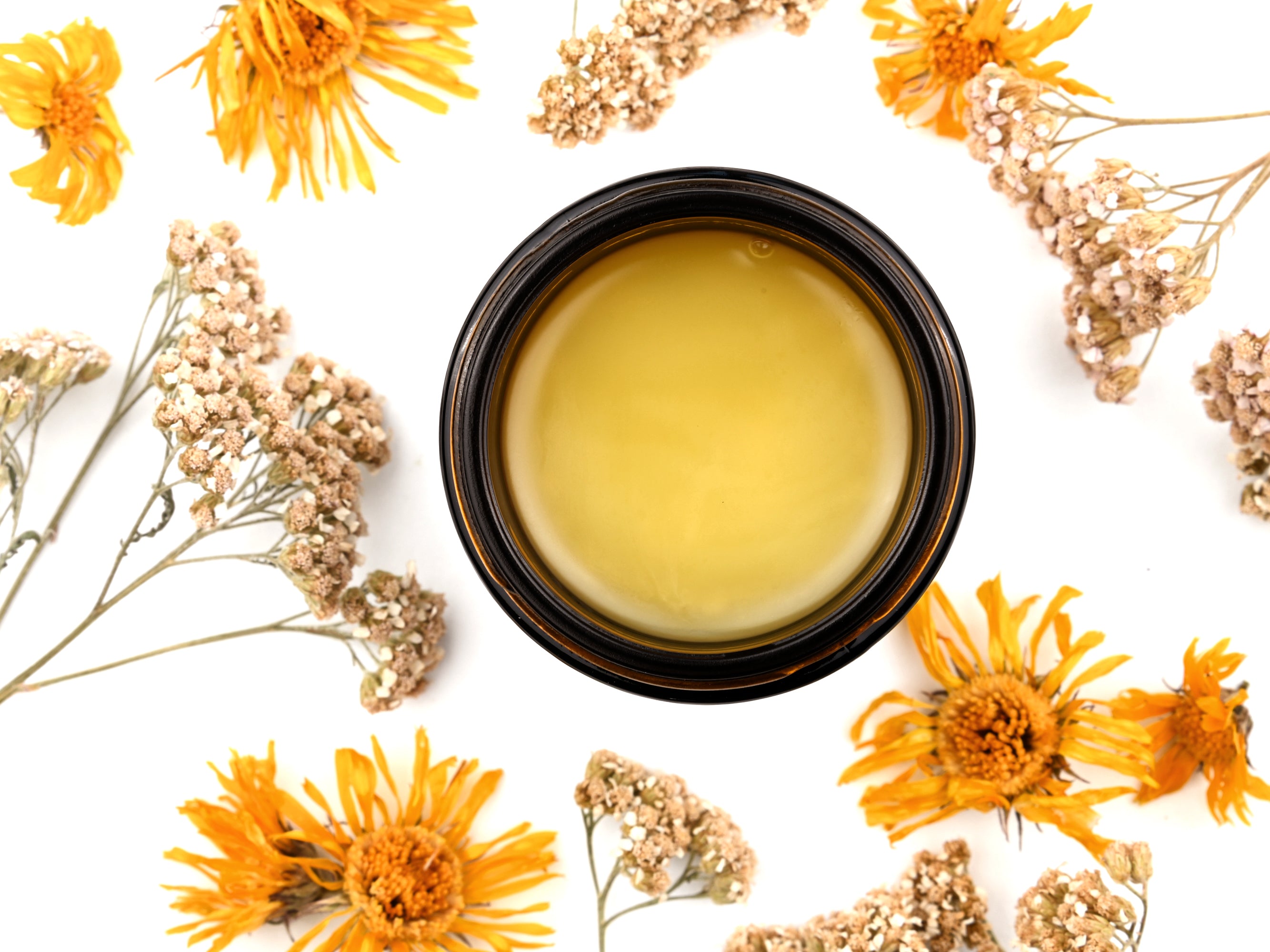 Renewal - Botanical Healing Salve