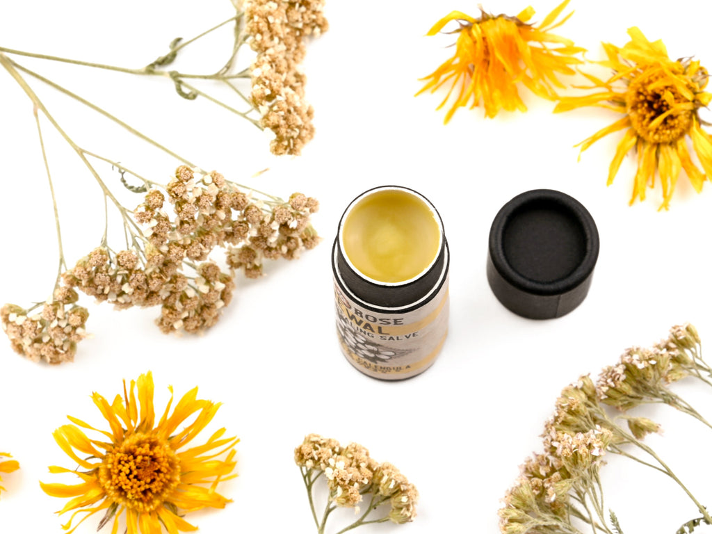 Renewal - Botanical Healing Salve