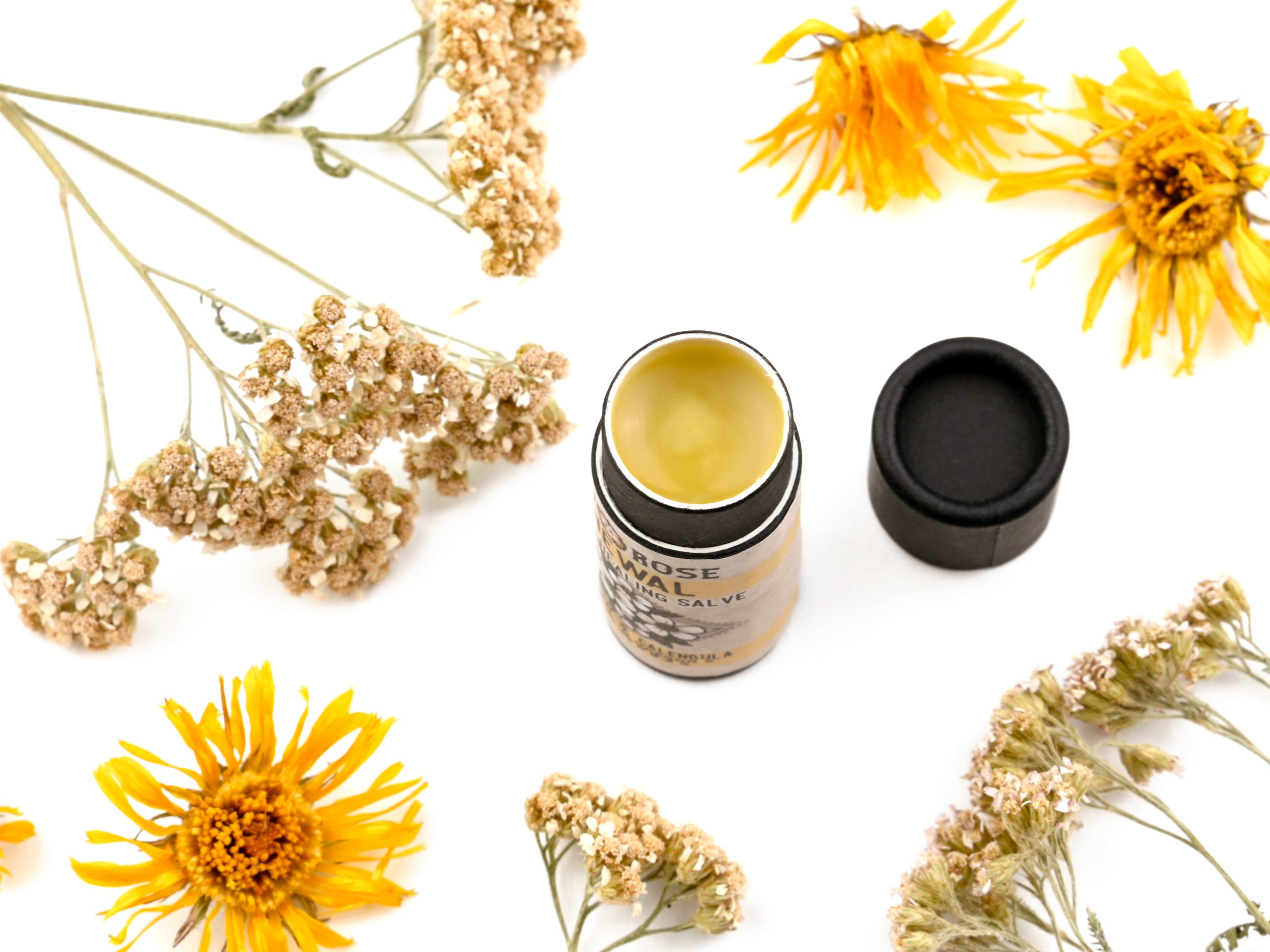 Renewal - Botanical Healing Salve